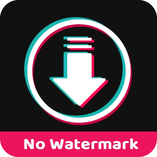 snaptik